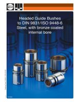 Tài liệu Headed Guide Bushes to DIN 9831/ ISO 9448-6 Steel, with bronze coated internal bore pptx