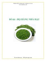 Tài liệu Đề tài : HỌ HÀNG NHÀ ĐẬU doc
