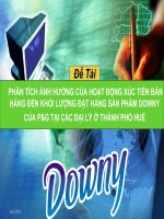 PHÂN TÍCH ẢNH HƯỞNG của HOẠT ĐỘNG xúc TIẾN bán HÀNG đến KHỐI LƯỢNG đặt HÀNG sản PHẨM DOWNY của p&g tại các đại lý ở THÀNH PHỐ HUẾ 