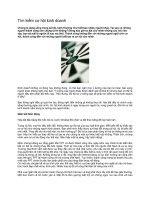 Tài liệu Tìm kiếm cơ hội kinh doanh pptx