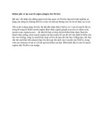 Tài liệu Khám phá và tạo search engine plugins cho Firefox ppt