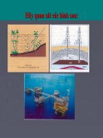 Bài soạn Bài : Dầu mỏ