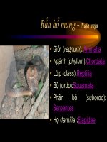 Tài liệu Động vật làm thuốc_Phần 8 doc