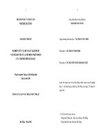 Nghiên cứu và đề xuất giải pháp vận hành tối ưu lưới điện phân phối của thành phố bảo lộc 