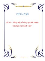 Tài liệu Tiểu luận “Pháp luật về công ty trách nhiệm hữu hạn một thành viên” pptx