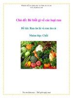 Tài liệu Chủ đề: Bé biết gì về các loại rau - Đề tài: Rau ăn lá và rau ăn củ Nhóm - Lớp: Chồi ppt