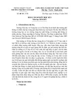 Gián án Báo cáo sơ kết học kỳ