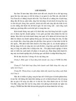 Phương hướng và giải pháp nhằm đẩy mạnh hoạt động xuất khẩu của công ty TNHH Sơn Mài Mới 