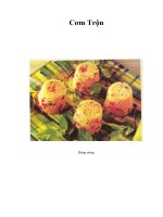 Tài liệu Cơm Trộn pdf