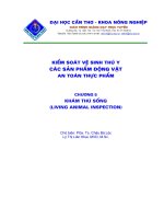 Tài liệu Kiểm soát vệ sinh an toàn thực phẩm P5 docx