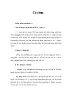 Tài liệu Cà chua doc