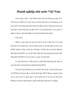 Tài liệu Doanh nghiệp nhà nước Việt Nam ppt