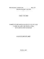 Nghiên cứu siêu kháng nguyên của tụ cầu vàng và hiệu quả điều trị VDCĐ bằng kháng sinh cefuroxim 