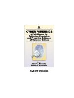 Tài liệu Cyber Forensics pptx