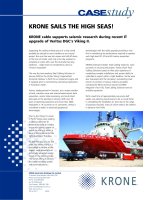 Tài liệu Case Study - Veritas Viking11 docx