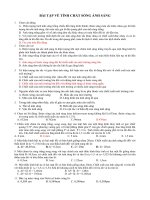 Bài giảng BÀI TẬP VỀ SÓNG ÁNH SÁNG