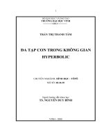 Đa tạp con trong không gian hyperbolic 