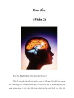 Tài liệu Đau đầu (Phần 2) ppt