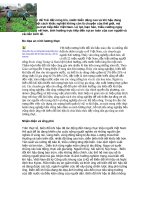 Tài liệu Vấn đề Trái đất nóng lên, nước biển dâng cao và khí hậu đang biến pdf