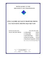 Nâng cao hiệu quả quản trị rủi ro trong các ngân hàng thương mại việt nam 