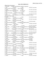 Bài soạn relative pronouns 11