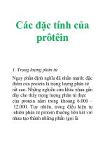 Tài liệu Các đặc tính của prôtêin docx