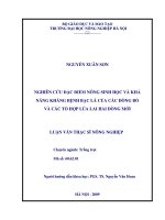 Nghiên cứu đặc điểm nông sinh học và khả năng kháng bệnh bạc lá của các dòng bố và các tổ hợp hợp lúa lai hai dòng mới 