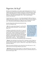 Tài liệu Pageview, hit là gì? pptx