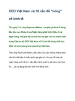 Tài liệu CEO Việt Nam và 10 vấn đề 