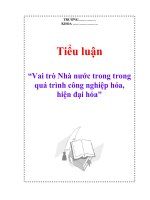 Tài liệu Tiểu luận “Vai trò Nhà nước trong trong quá trình công nghiệp hóa, hiện đại hóa