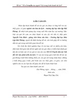 Tết cổ truyền của người việt trong kinh doanh du lịch 