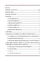 Nghiên cứu hiệu ứng đường cong j ở việt nam khi phá giá đồng nội tệ 