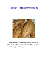Tài liệu Sắn dây - 