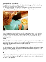 Những chất tốt cho trí não thai nhi 