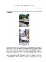 Tài liệu Bánh tráng Hậu Thành