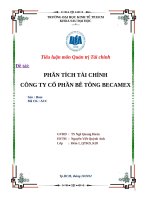 PHÂN TÍCH tài CHÍNH CÔNG TY cổ PHẦN bê TÔNG BECAMEX 