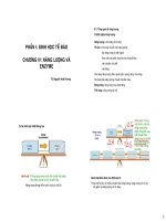 Tài liệu PHẦN I: SINH HỌC TẾ BÀO CHƯƠNG IV: NĂNG LƯỢNG VÀ ENZYME pdf