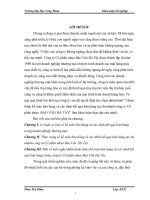 Hoàn thiện kế toán bán hàng và xác định kết quả bán hàng tại chi nhánh công ty Cổ phần nhựa  BẢO VÂN HÀ TÂY