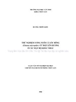 LUẬN văn thử nghiệm ương nuôi cá lóc bông(channa micropeltes) từ bột lên hương với các mật độ khác nhau 