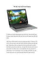 Tài liệu ''''Đi chợ'''' trực tuyến mua laptop docx