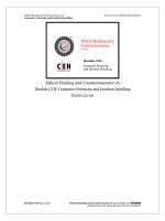CEHv6 module 57 computer forensics and incident handling 