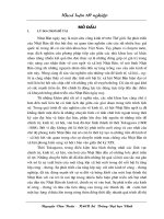 Vai trò của thành thị nhật bản dưới thời tokygawa (1600 1868) 