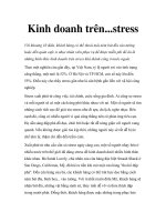 Tài liệu Kinh doanh trên...stress pdf