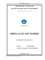 Hoàn thiện công tác kế toán nguyên vật liệu  công cụ dụng cụ tại công ty TNHH nhựa ngọc hải 