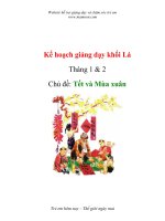 Tài liệu Kế hoạch giảng dạy - Chủ đề: Tết và Mùa xuân - Khối Lá ppt