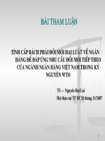 Tài liệu Hội thảo về hai luật ngân hàng của TS Nguyễn Đại Lai(11/2007) doc