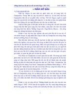 Những thành tựu chủ yếu của nền văn minh ăngco (802   1434) 