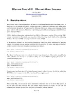 Tài liệu Hibernate Tutorial 09 pptx