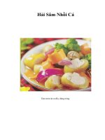 Tài liệu Hải Sâm Nhồi Cá doc