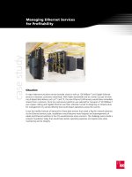 Tài liệu Case Study - Telco - Managing Ethernet Service pptx